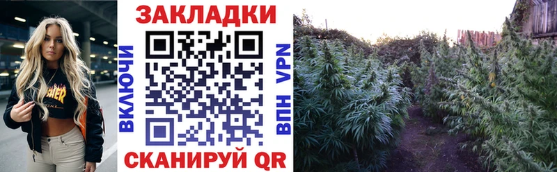 Хочу наркоту Новосиль Бутират  Галлюциногенные грибы  Alpha-PVP  ГАШ  КОКАИН  Конопля 