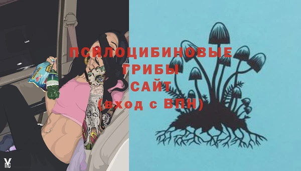 экстази Малоярославец