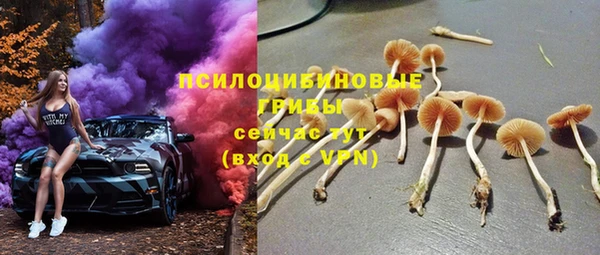мескалин Осташков