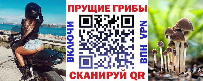 Псилоцибиновые грибы мухоморы  Новосиль 
